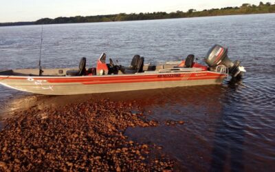 Whatsapp image 2026 02 18 at 11.34.42 (2)